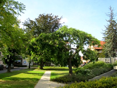 20120816Wasserturm_Hockenheim13