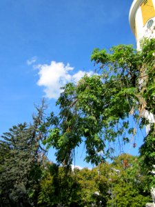20120816Wasserturm_Hockenheim03