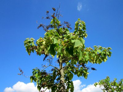 20120816Hockenheim02