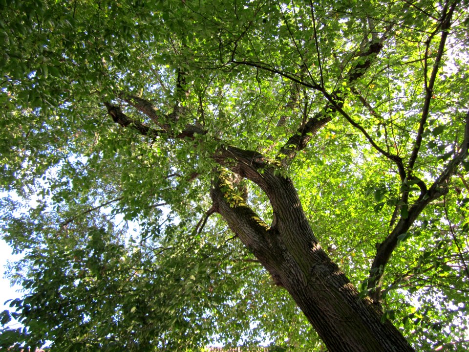 20120816Karlsruher_Str_Hockenheim05