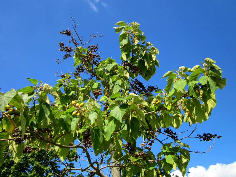 20120816Hockenheim01