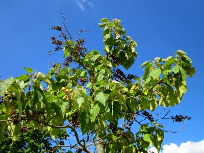 20120816Hockenheim01