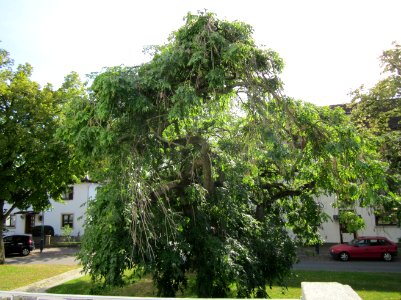 20120816Wasserturm_Hockenheim06