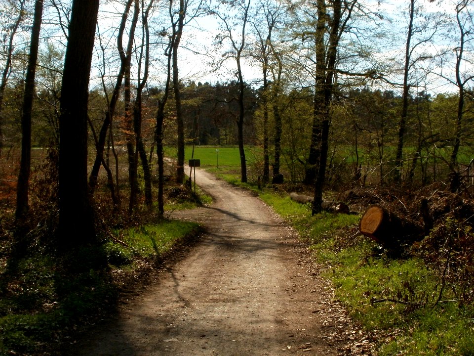 20120408Untere_Lusshardt_St_Leon7
