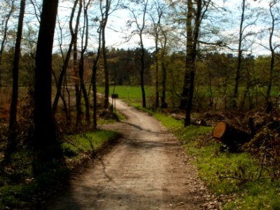20120408Untere_Lusshardt_St_Leon7