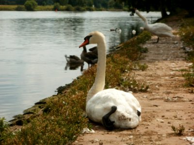 20120704Remich05