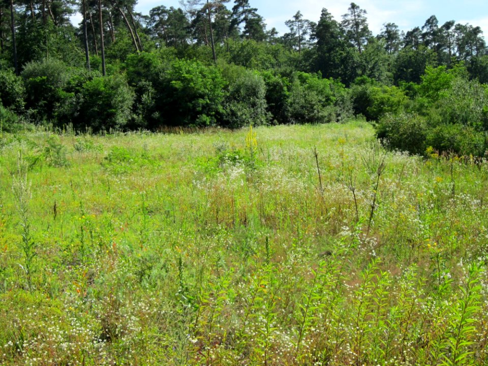 20120715Ostkurve_Hockenheim1