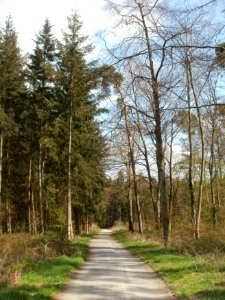 20120408Untere_Lusshardt_St_Leon3