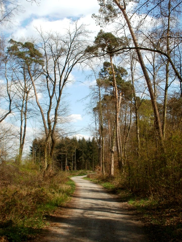 20120408Untere_Lusshardt_St_Leon6