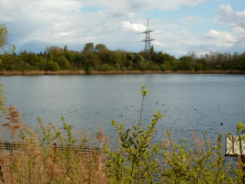 20120422Eichelgartensee2