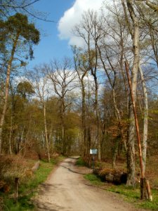 20120408Untere_Lusshardt_St_Leon9
