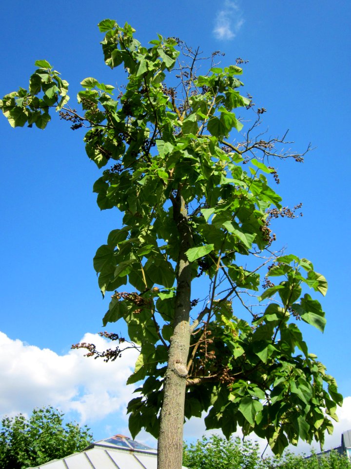 20120816Hockenheim04