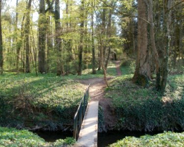 20120408Untere_Lusshardt_Altlussheim6