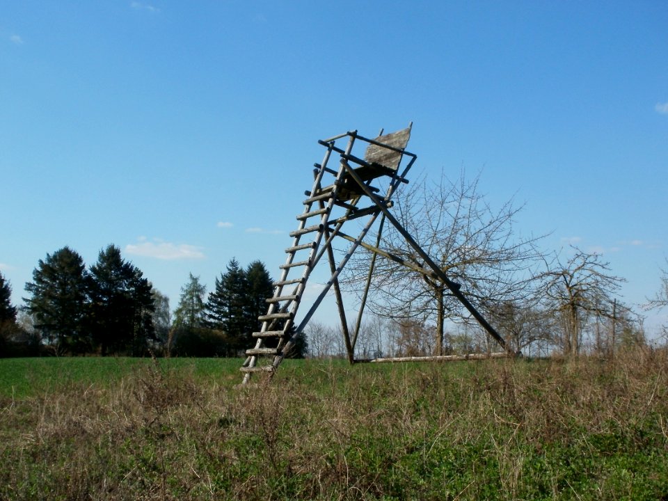 20120408Hochsitz_Altlussheim8