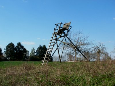 20120408Hochsitz_Altlussheim8