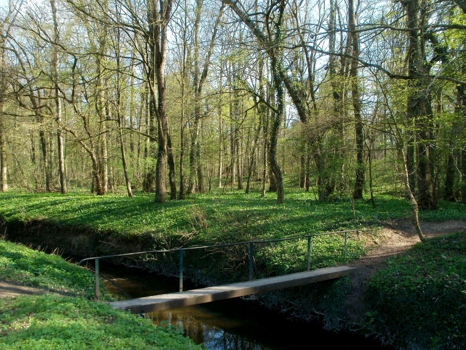 20120408Untere_Lusshardt_Altlussheim7