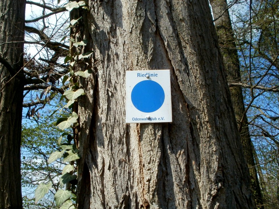 20120408Untere_Lusshardt_St_Leon8