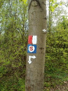 20120414St_Arnual4