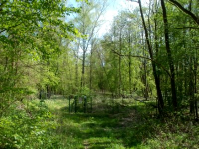 20120429Von_der_Heydt51