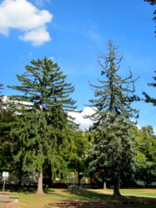 20120816Wasserturm_Hockenheim14