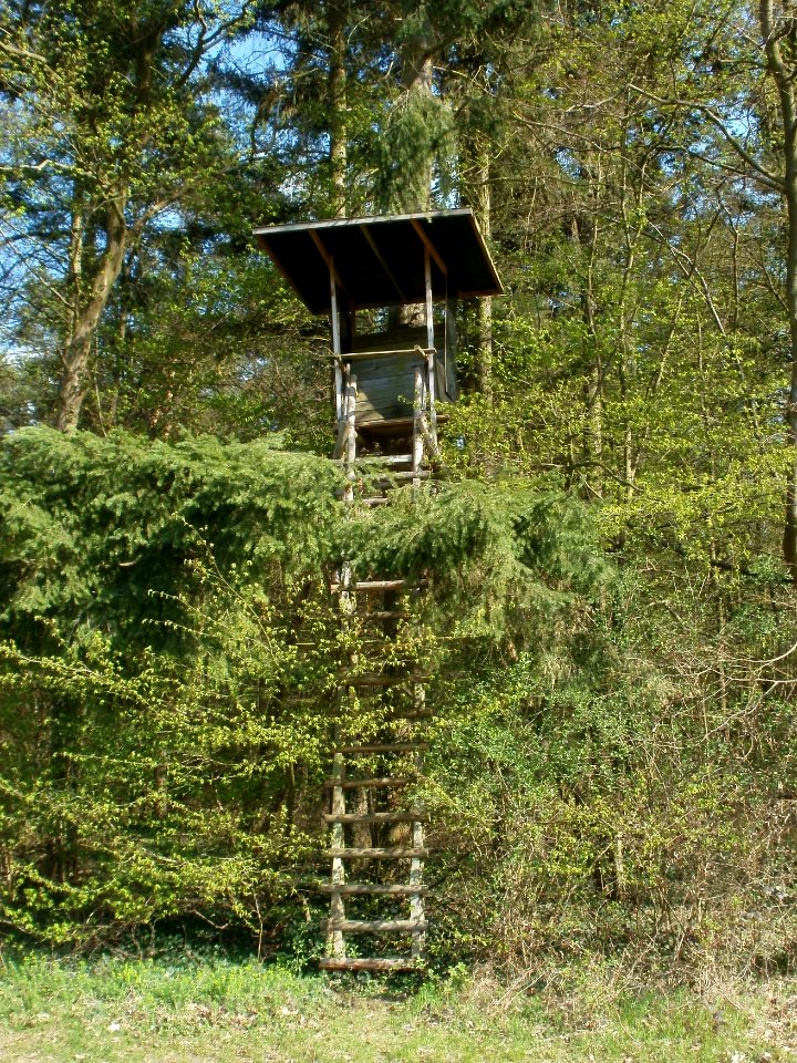 20120408Hochsitz_Altlussheim1