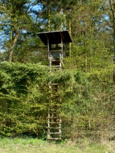 20120408Hochsitz_Altlussheim1
