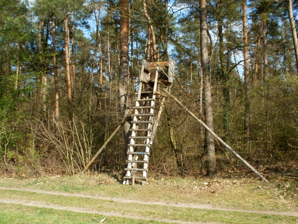 20120408Hochsitz_Altlussheim2