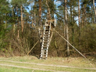 20120408Hochsitz_Altlussheim2
