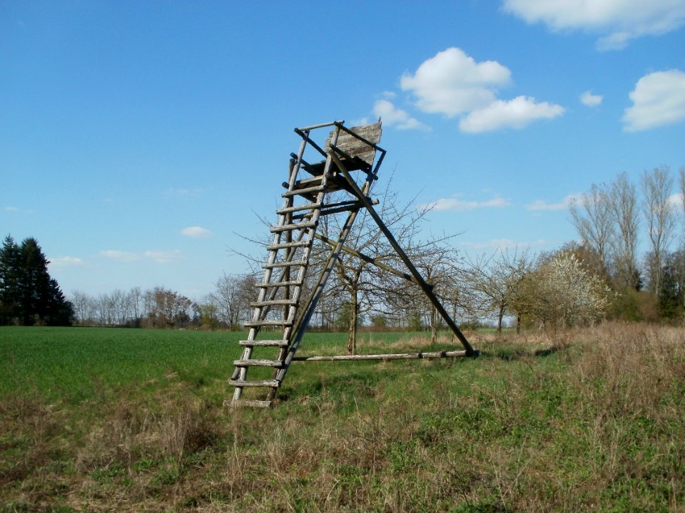 20120408Hochsitz_Altlussheim7