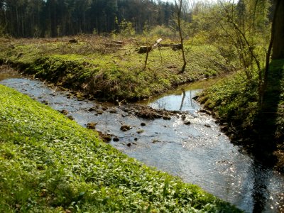 20120408Kriegbach_Altlussheim3