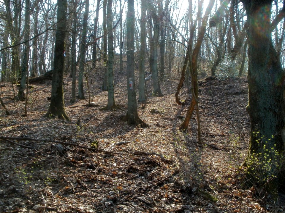 20120324Soldatenfriedhof_Spicherer_Berg14