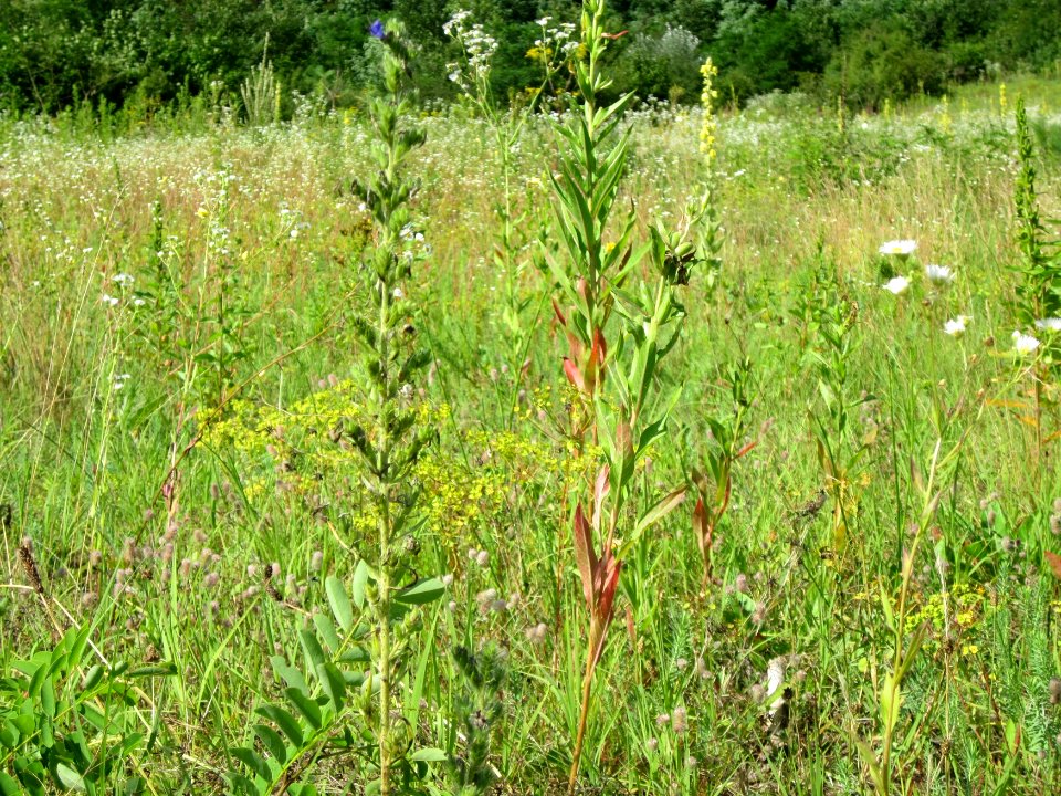20120715Ostkurve_Hockenheim3