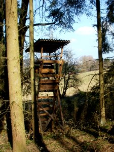 20120324Stiftswald_St_Arnual02