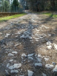20120324Strasse_Spicherer_Berg