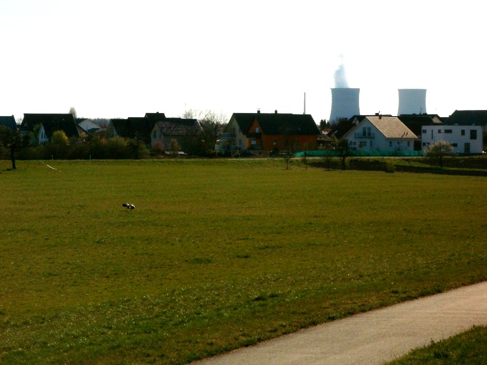20120401Stoerche_Rheihausen3