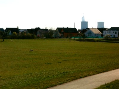 20120401Stoerche_Rheihausen3