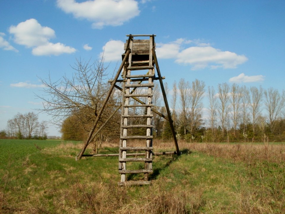 20120408Hochsitz_Altlussheim6
