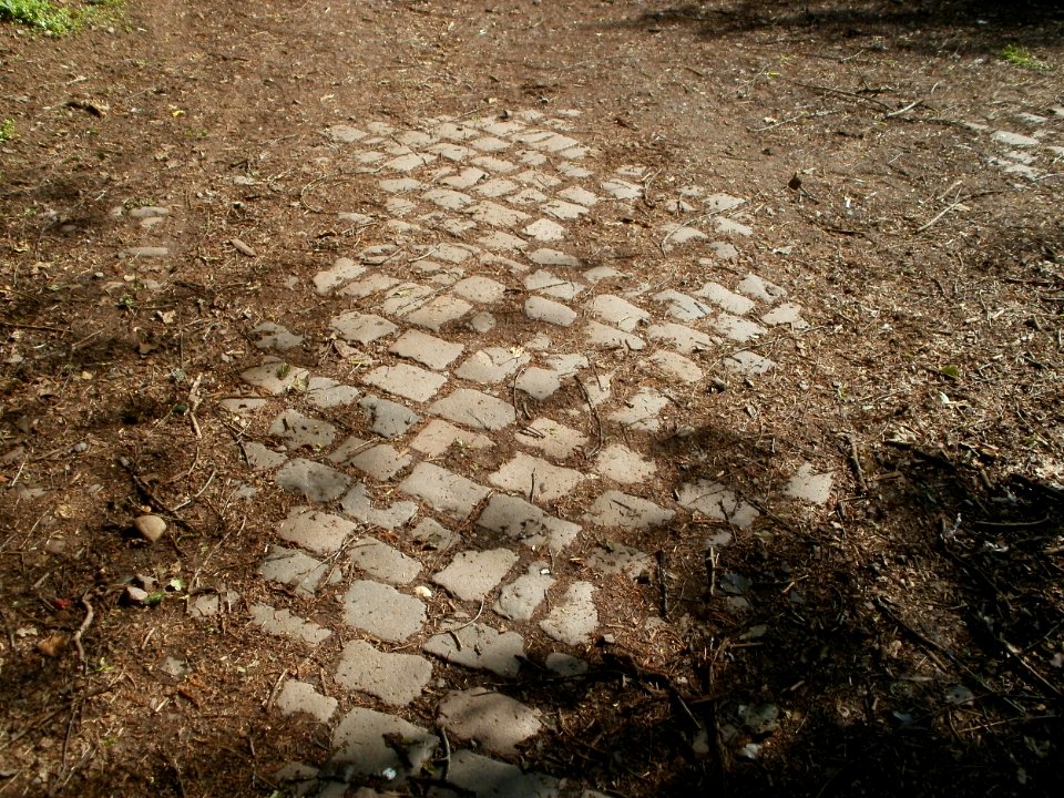 20120427Am_Bruchhuebel3