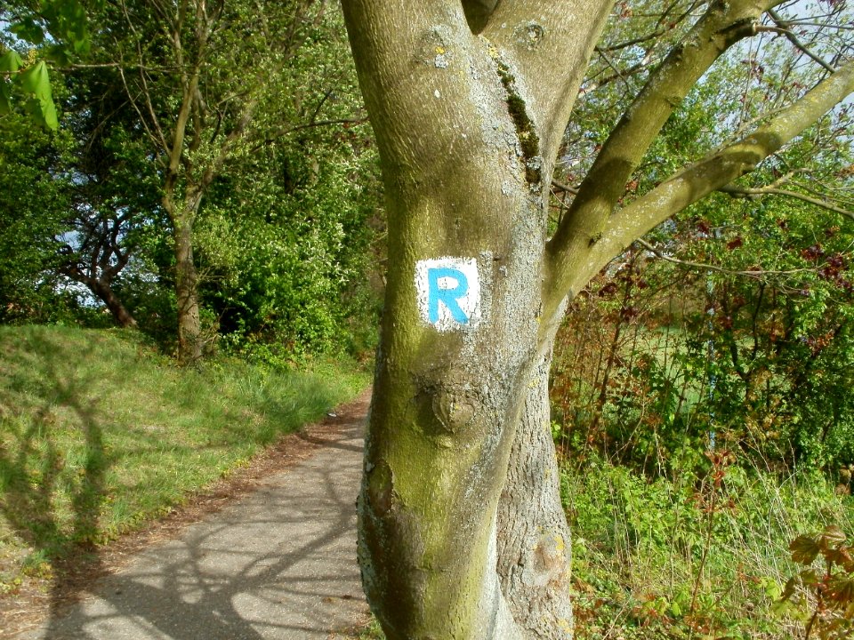 20120422Rheinauenweg4