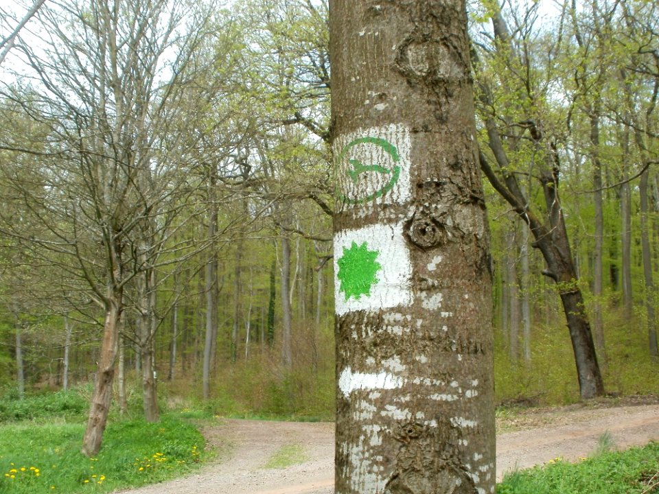 20120429Von_der_Heydt29
