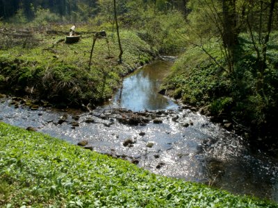 20120408Kriegbach_Altlussheim2