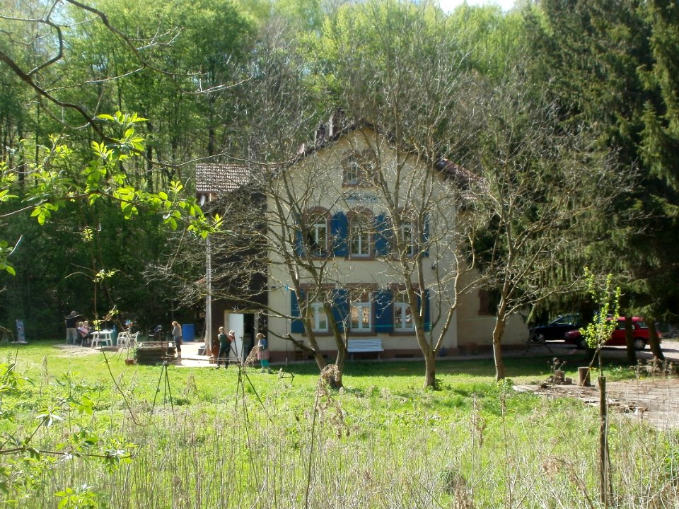 20120429Von_der_Heydt65