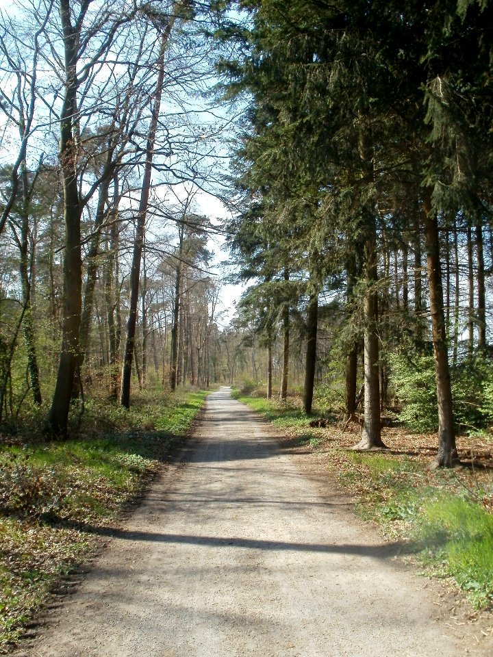 20120408Untere_Lusshardt_St_Leon1