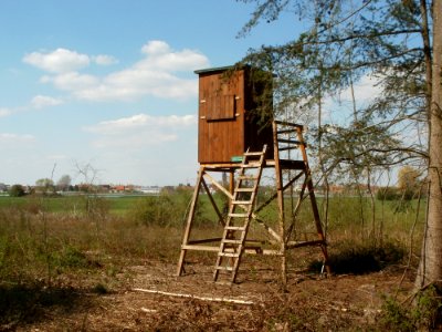 20120408Untere_Lusshardt_St_Leon2