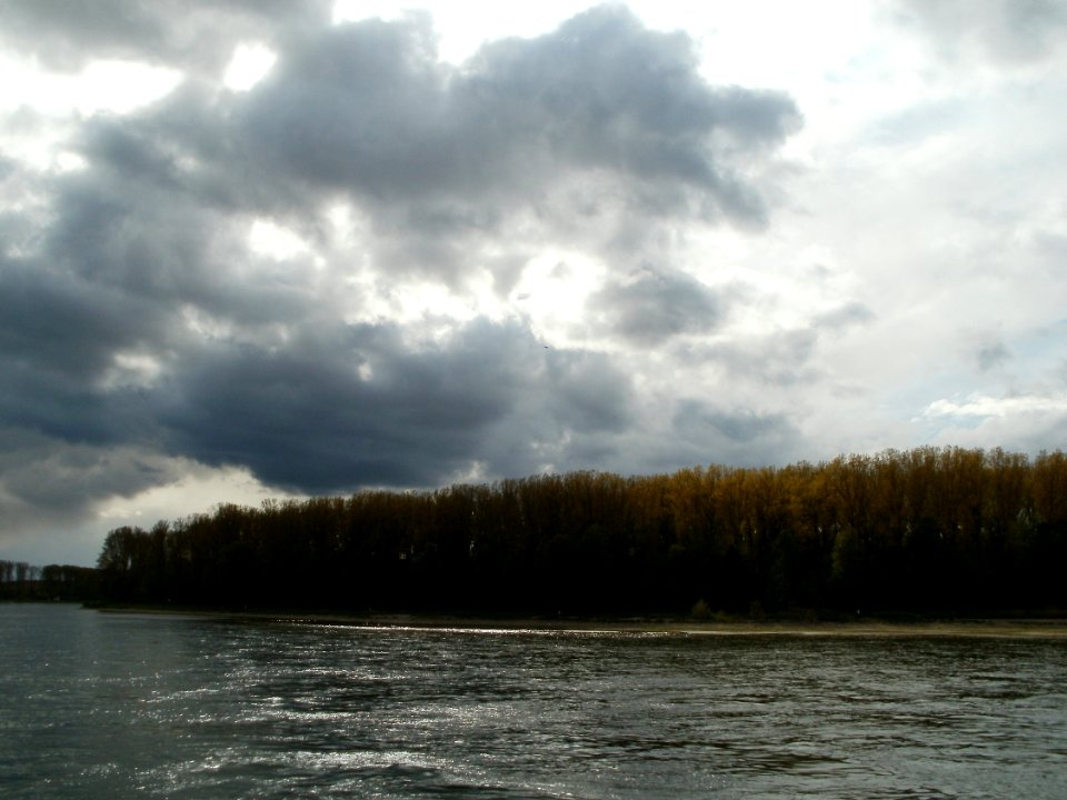 20120422Rhein_Altlussheim2