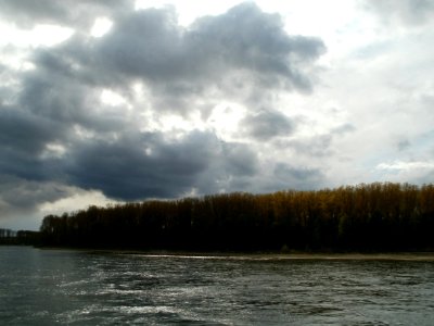 20120422Rhein_Altlussheim2