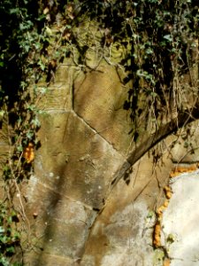 20120429Von_der_Heydt40