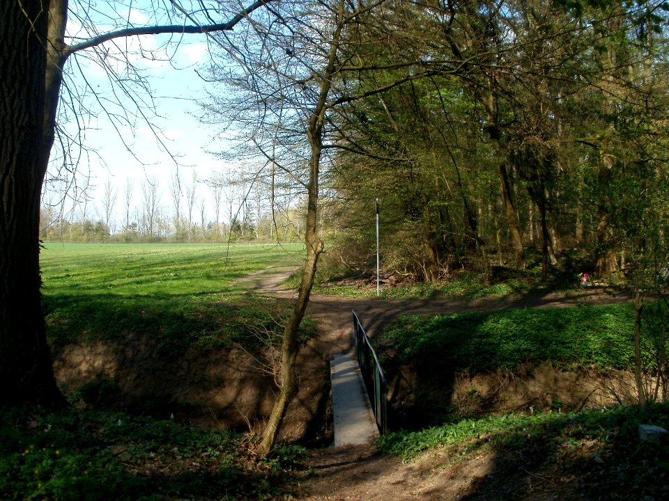20120408Untere_Lusshardt_Altlussheim5