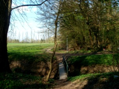 20120408Untere_Lusshardt_Altlussheim5