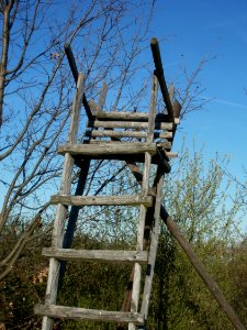20120401Hochsitz_Reilingen2